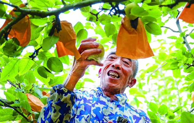 篮球投注