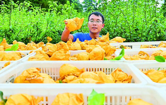 篮球投注