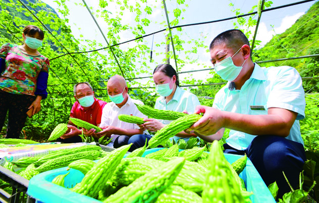 篮球投注