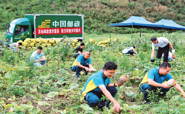 篮球投注