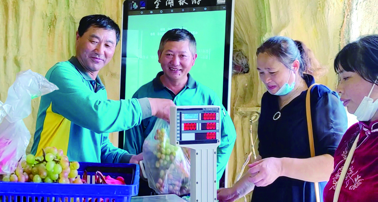 篮球投注